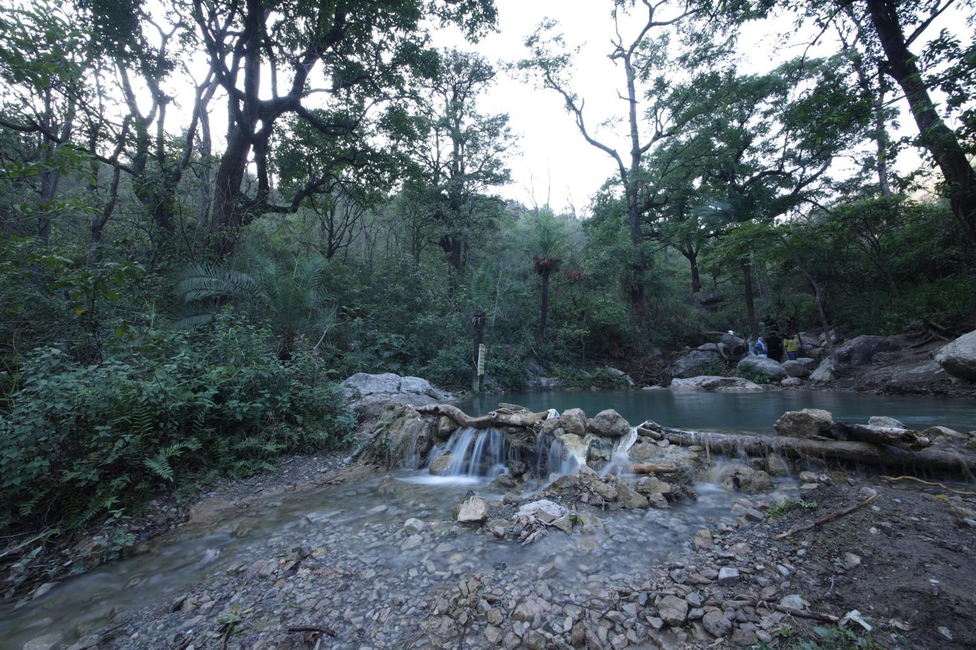 Perfect Stayz Premium Forest Valley Near Waterfall Ришикеш Экстерьер фото